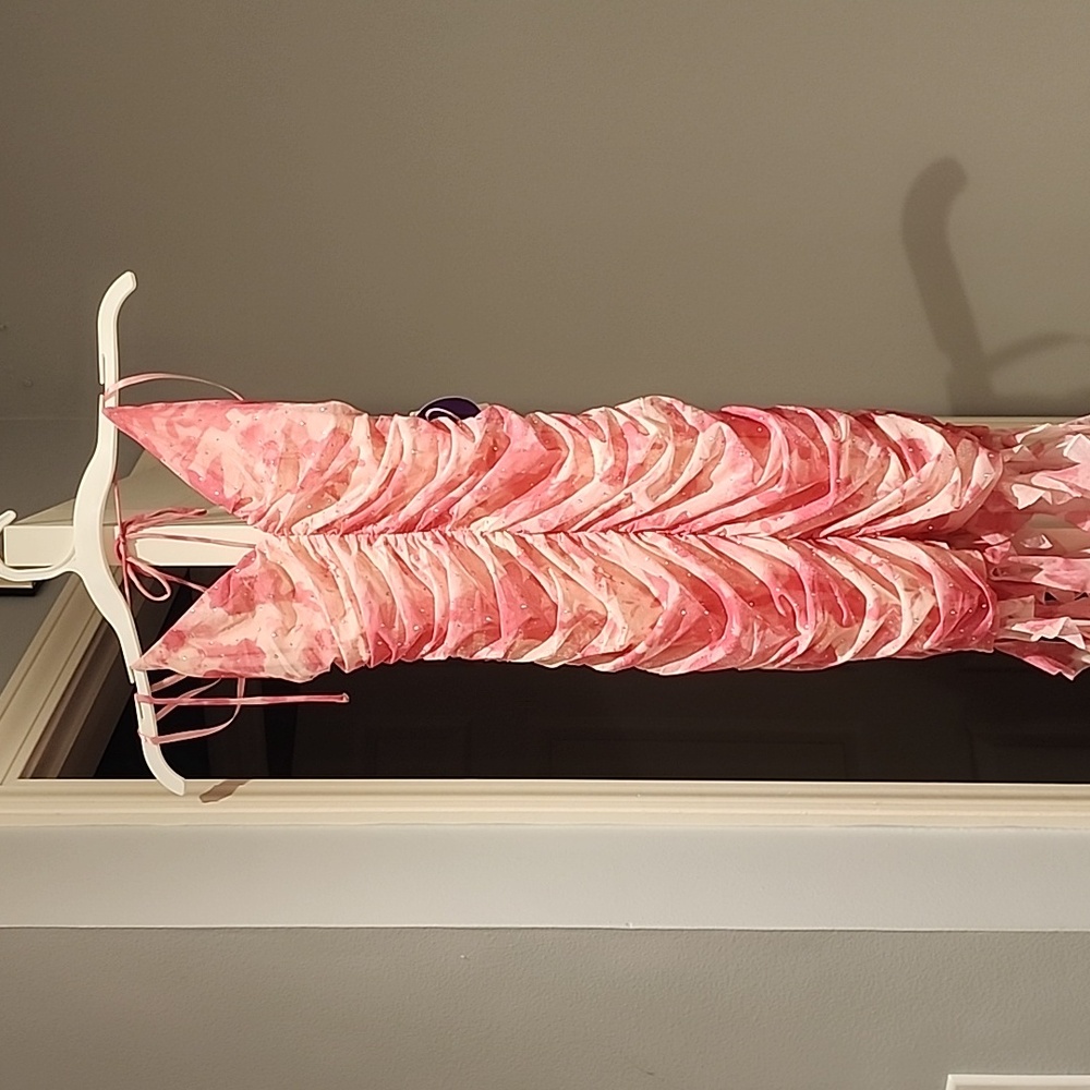 Homecoming dressfrom windsor pink size small - Picture 2 of 8